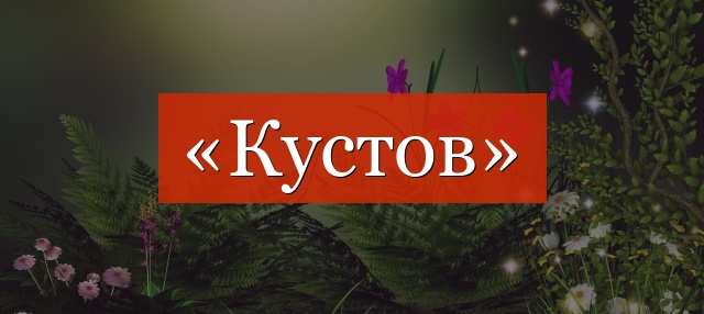 Фонетический разбор слова «кустов»