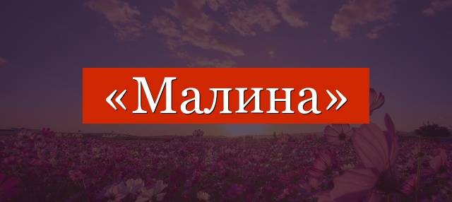 Фонетический разбор слова «малина»