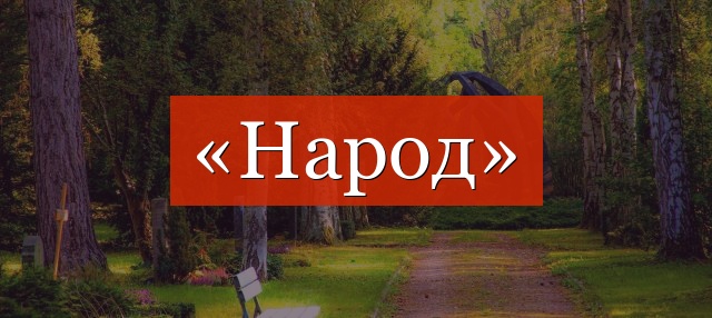 Фонетический разбор слова «народ»