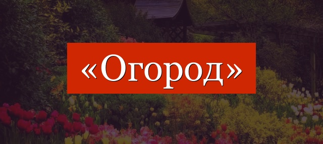 Фонетический разбор слова «огород»