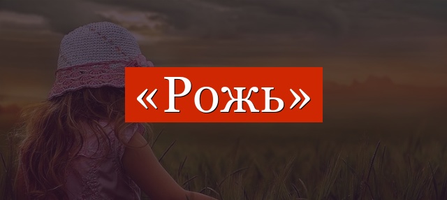 Фонетический разбор слова «рожь»