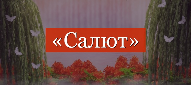 Фонетический разбор слова «салют»