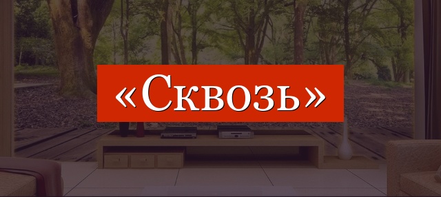 Фонетический разбор слова «сквозь»