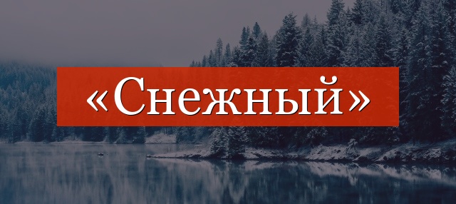 Фонетический разбор слова «снежный»