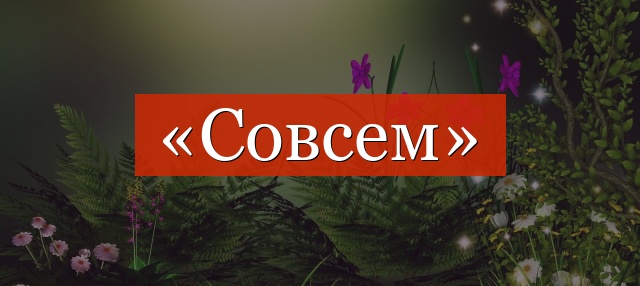 Фонетический разбор слова «совсем»