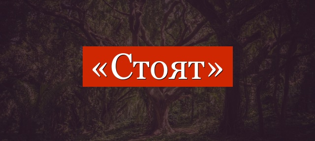 Фонетический разбор слова «стоят»