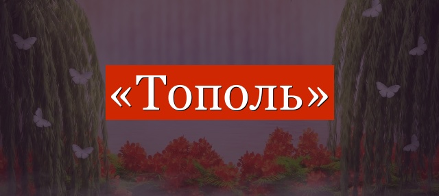 Фонетический разбор слова «тополь»