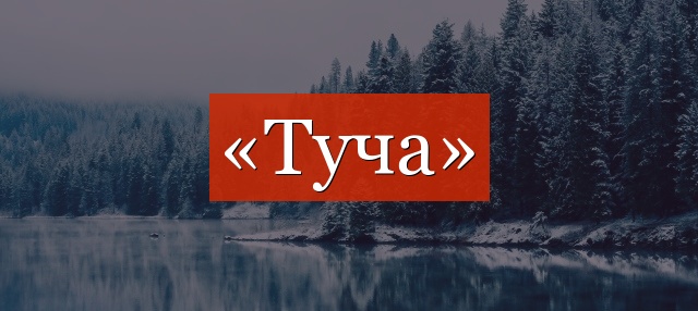 Фонетический разбор слова «туча»