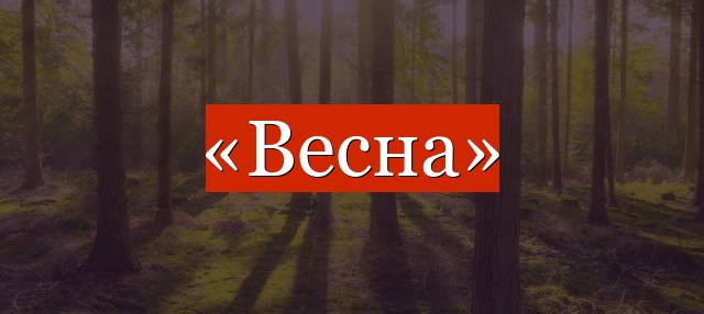 Фонетический разбор слова «весна»