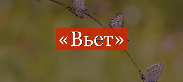 Фонетический разбор слова «вьет»