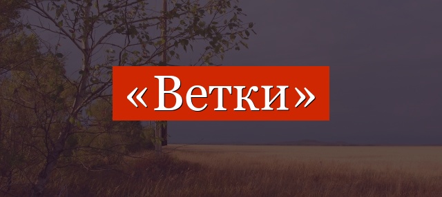 Фонетический разбор слова «ветки»