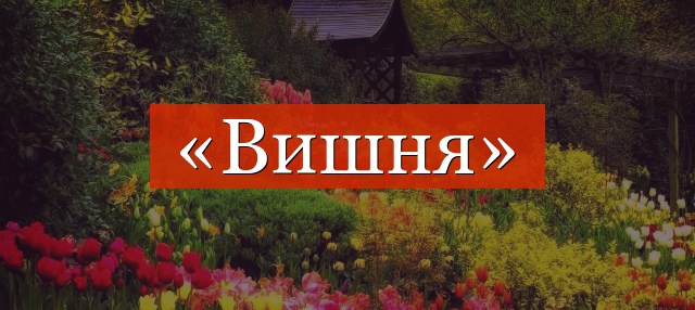 Фонетический разбор слова «вишня»