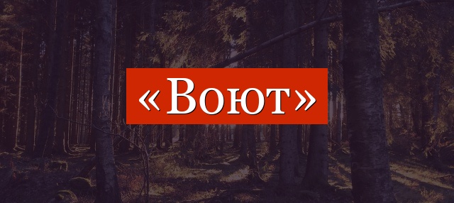 Фонетический разбор слова «воют»