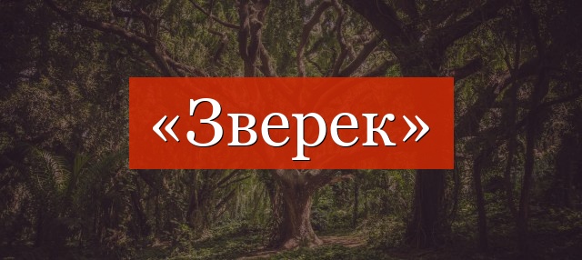 Фонетический разбор слова «зверек»