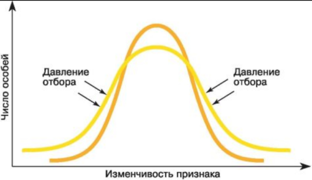 Формы естественного отбора