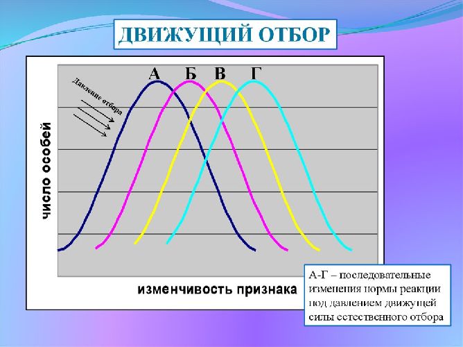 Формы естественного отбора