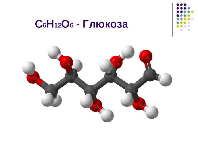Функции углеводов