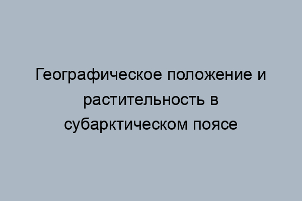 Субарктический пояс особенности географического положения характеристика и описание растений