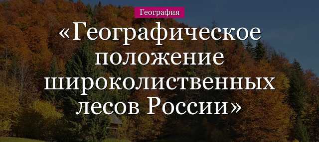 Географическое положение широколиственных лесов России