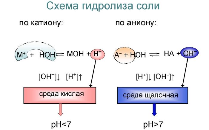 Гидролиз