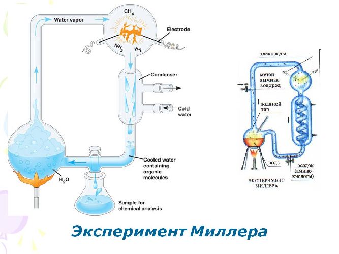 Гипотеза Опарина-Холдейна