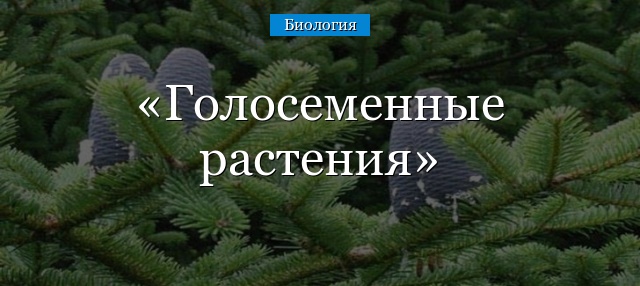 Голосеменные растения