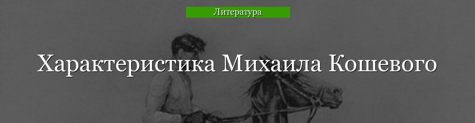 Характеристика Михаила Кошевого