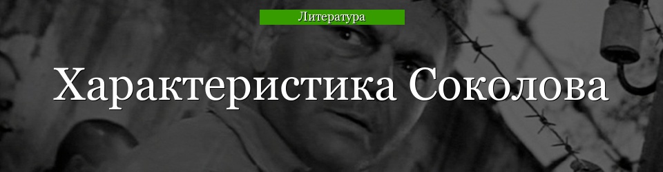 Характеристика Соколова