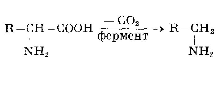 Химические свойства карбоновых кислот