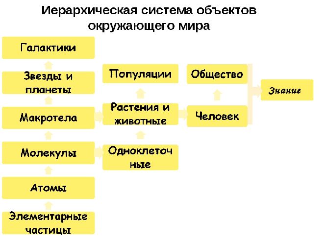 Иерархическая система окружающего мира