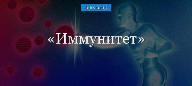 Иммунитет