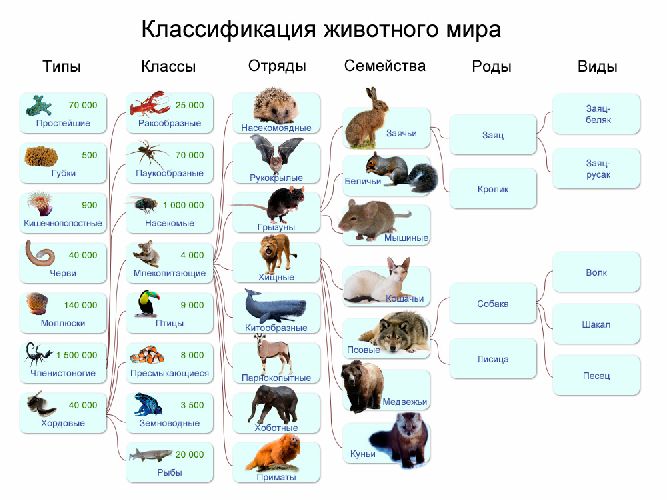 Информационное моделирование