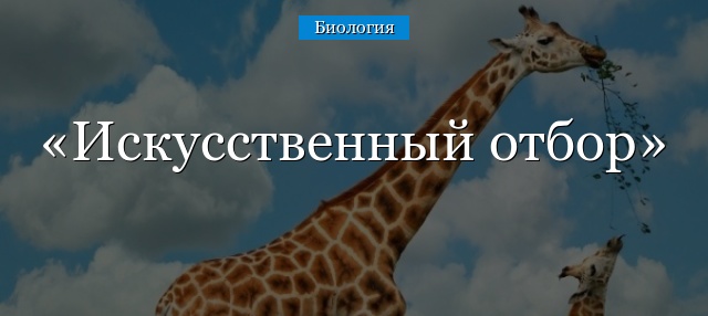 Искусственный отбор