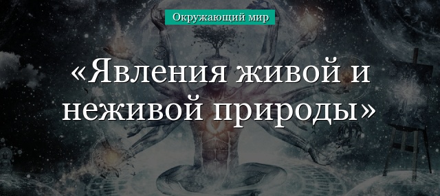 Явления живой и неживой природы