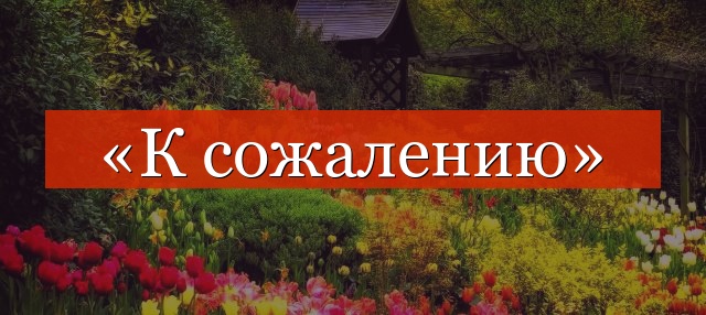 «К сожалению» выделяется запятыми или нет?