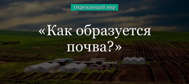 Как образуется почва?