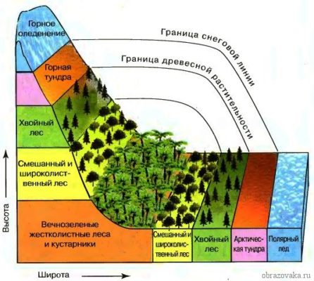 Карта природных зон мира