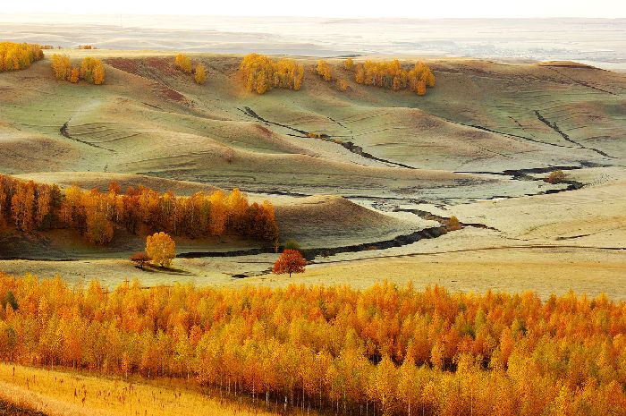 Климат Русской равнины