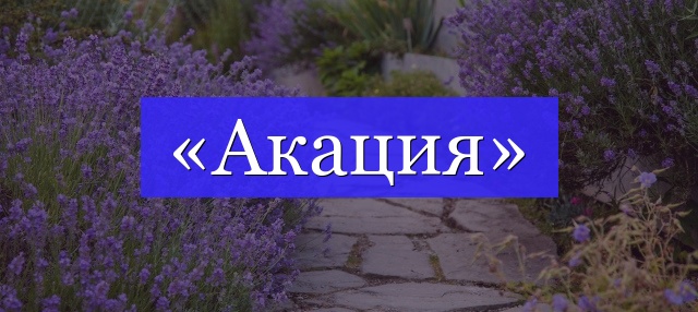 Корень слова «акация»