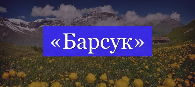 Корень слова «барсук»