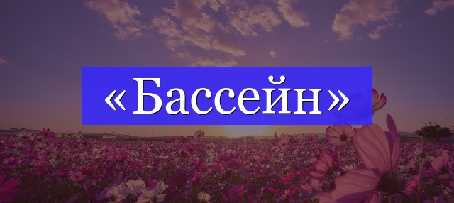 Корень слова «бассейн»