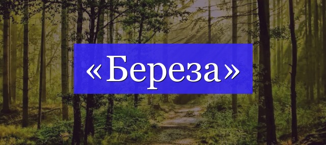 Корень слова «береза»