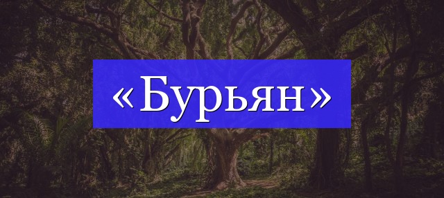 Корень слова «бурьян»