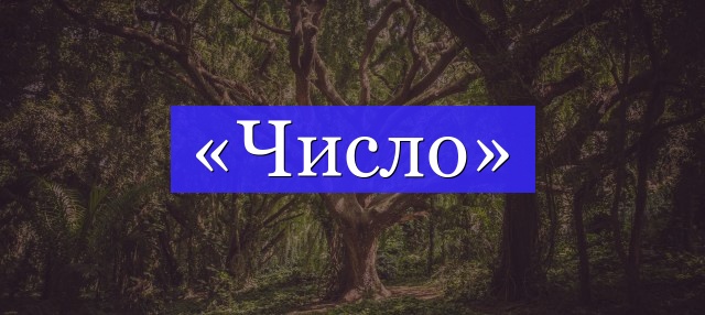 Корень слова «число»