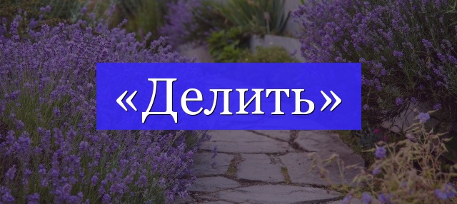 Корень слова «делить»