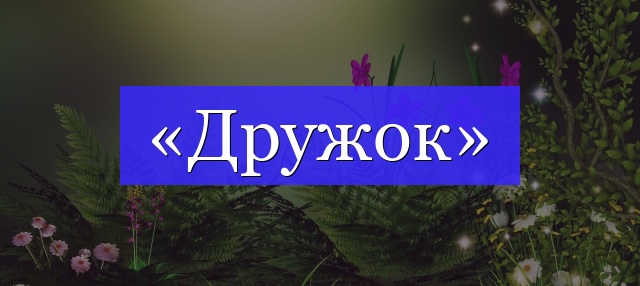 Корень слова «дружок»