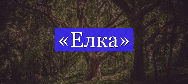 Корень слова «елка»