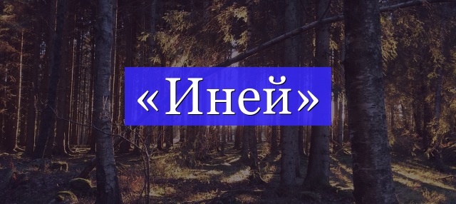 Корень слова «иней»