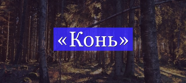 Корень слова «конь»