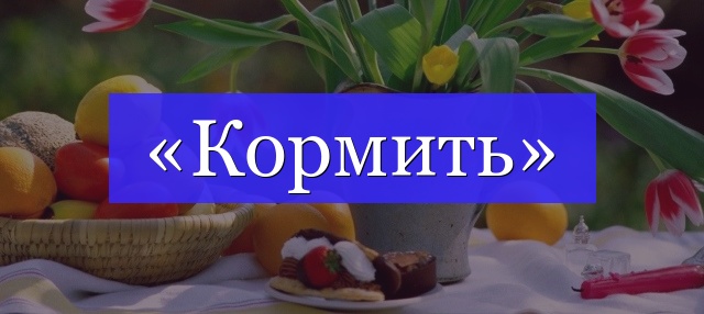 Корень слова «кормить»